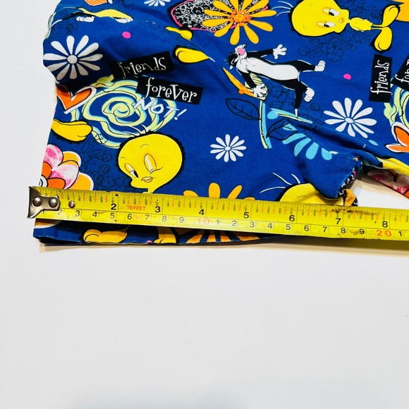 Looney Tunes Tweety Sabastian med blue background medical office childcare vet - Picture 9 of 11